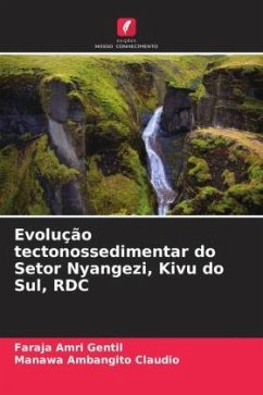 Evolução tectonossedimentar do Setor Nyangezi, Kivu do Sul, RDC - Amri Gentil, Faraja;Ambangito Claudio, Manawa