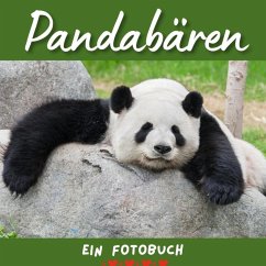 Pandabären