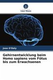 Gehirnentwicklung beim Homo sapiens vom Fötus bis zum Erwachsenen