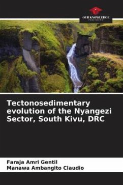 Tectonosedimentary evolution of the Nyangezi Sector, South Kivu, DRC - Amri Gentil, Faraja;Ambangito Claudio, Manawa