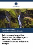 Tektonosedimentäre Evolution des Nyangezi-Sektors, Süd-Kivu, Demokratische Republik Kongo