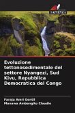 Evoluzione tettonosedimentale del settore Nyangezi, Sud Kivu, Repubblica Democratica del Congo