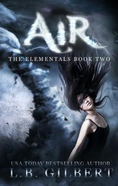 Air (eBook, ePUB) Cover Air (eBook, ePUB)