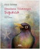 Umudunu Yitirmeyen Sigircik