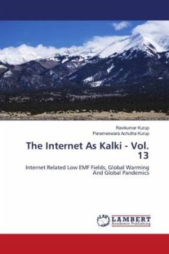 The Internet As Kalki - Vol. 13