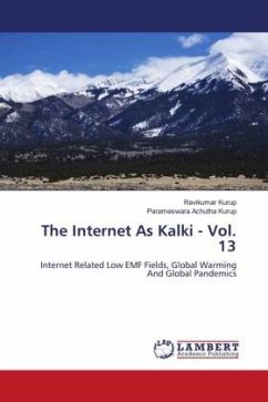 The Internet As Kalki - Vol. 13 - Kurup, Ravikumar;Achutha Kurup, Parameswara