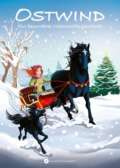 Ein besonderes Weihnachtsgeschenk / Ostwind für Erstleser Bd.15 - Thilo