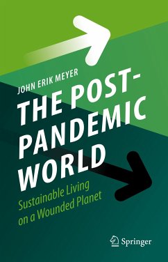 The Post-Pandemic World (eBook, PDF) - Meyer, John Erik