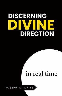 Discerning Divine Direction in Real Time (eBook, ePUB) Discerning Divine Direction in Real Time (eBook, ePUB)