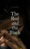The Red and the Black (eBook, ePUB)