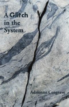 A Glitch in the System (eBook, ePUB) - Cosgrave, Adrienne