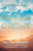 Preparation for Destiny (eBook, ePUB)