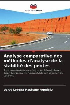 Analyse comparative des méthodes d'analyse de la stabilité des pentes - Medrano Agudelo, Leidy Lorena