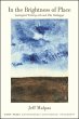 In the Brightness of Place (eBook, ePUB) - Bild 1