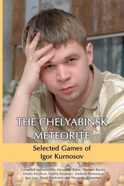 Cover The Chelyabinsk Meteorite