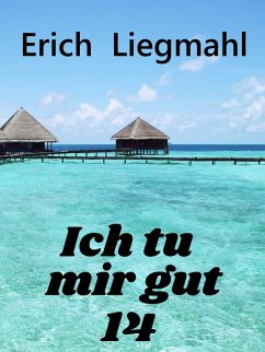 Cover Ich tu mir gut 14 (eBook, ePUB)