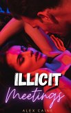 Illicit Meetings: Age Gap Forbidden Romance (eBook, ePUB) Illicit Meetings: Age Gap Forbidden Romance (eBook, ePUB)