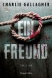 Ein Freund (eBook, ePUB) - Bild 1