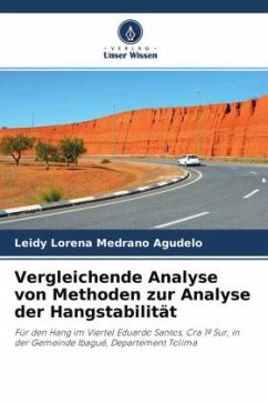 Vergleichende Analyse von Methoden zur Analyse der Hangstabilität - Medrano Agudelo, Leidy Lorena