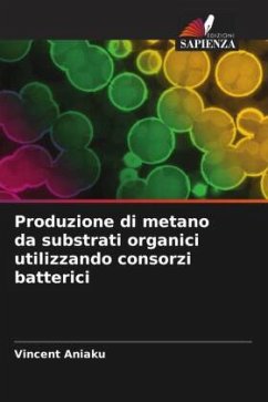 Cover Produzione di metano da substrati organici utilizzando consorzi batterici