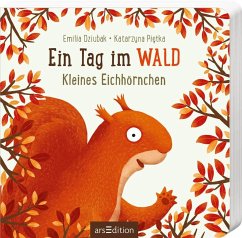 Ein Tag im Wald - Kleines Eichhörnchen - Dziubak, Emilia;Pietka, Katarzyna