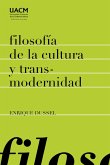 Filosofía de la cultura y transmodernidad: ensayos (eBook, ePUB)