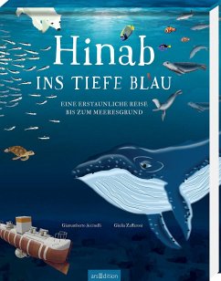 Hinab ins tiefe Blau - Accinelli, Gianumberto