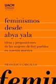 Feminismos desde Abya Yala (eBook, ePUB)