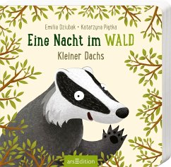 Eine Nacht im Wald: Kleiner Dachs - Dziubak, Emilia;Pietka, Katarzyna