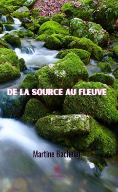 De la source au fleuve (eBook, ePUB) - Bachelet, Martine