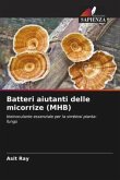 Batteri aiutanti delle micorrize (MHB)
