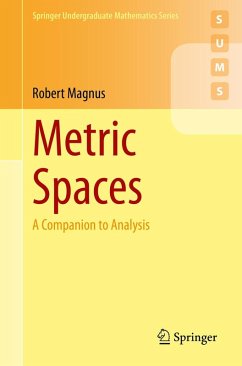 Metric Spaces (eBook, PDF) - Magnus, Robert