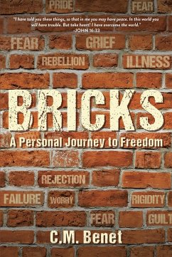 Cover Bricks (eBook, ePUB)