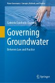 Governing Groundwater (eBook, PDF)