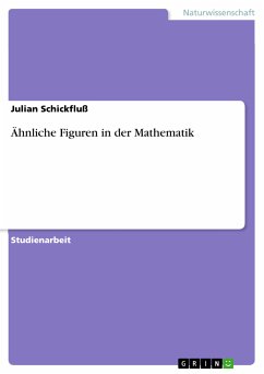 Ähnliche Figuren in der Mathematik (eBook, PDF) - Schickfluß, Julian