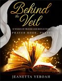 Behind the Veil (eBook, ePUB)