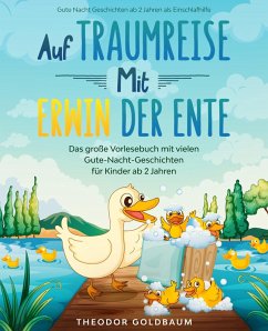 Auf Traumreise mit Erwin der Ente (eBook, ePUB) - Goldbaum, Theodor