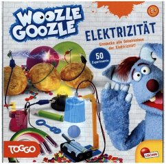 Image of WOOZLE GOOZLE Elektrizität (Experimentierkasten)