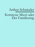 Komtesse Mizzi oder Der Familientag (eBook, ePUB)