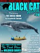Black Cat Weekly #28 (eBook, ePUB) - Bild 1