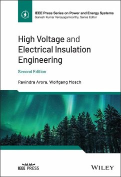 Cover High Voltage and Electrical Insulation Engineering (eBook, ePUB)