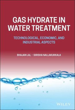 Cover Gas Hydrate in Water Treatment (eBook, PDF)