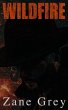 Wildfire (eBook, ePUB) - Bild 1
