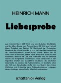 Liebesprobe (eBook, ePUB)