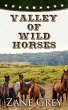 Valley of Wild Horses (eBook, ePUB) - Bild 1