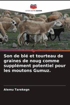 Son de blé et tourteau de graines de noug comme supplément potentiel pour les moutons Gumuz. - Tarekegn, Alemu
