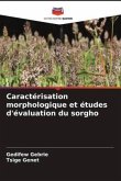 Caractérisation morphologique et études d'évaluation du sorgho