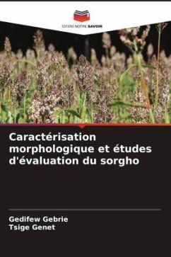 Caractérisation morphologique et études d'évaluation du sorgho - Gebrie, Gedifew;Genet, Tsige