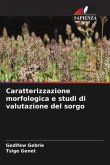 Caratterizzazione morfologica e studi di valutazione del sorgo