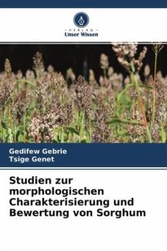Studien zur morphologischen Charakterisierung und Bewertung von Sorghum - Gebrie, Gedifew;Genet, Tsige